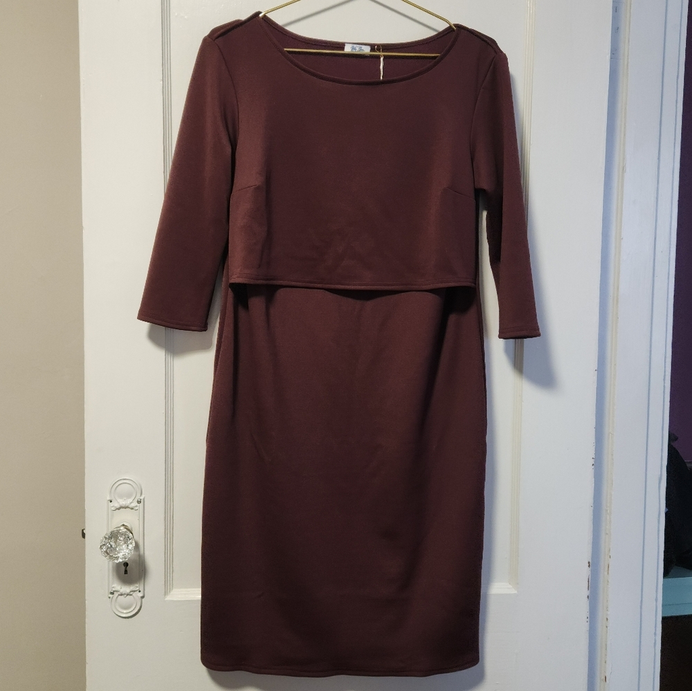Katie Jane Co. Larissa Pumping/Nursing Dress